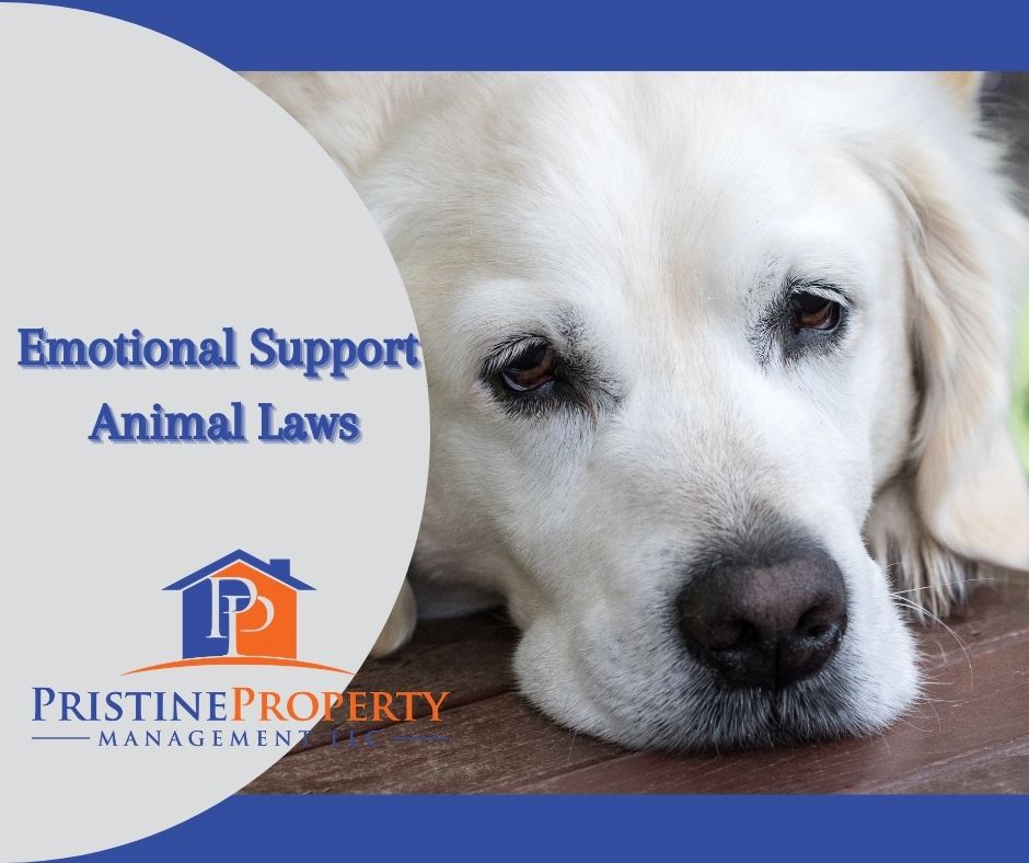 Emotional Support Animal Laws